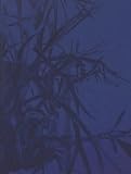 Artificial Light: New Light-Based Sculpture and Installation Art
