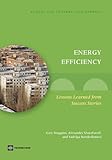 Energy efficiency : lessons learned from success stories