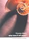 What Does it All Mean?: A Very Short Introduction to Philosophy