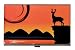 New Business Card / Credit Card Holder by Shagwear