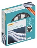 Holiday Lighting - Rope Lights