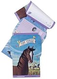 Pony Express Seal & Send Stationery - 0735317844