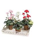 Set of 3 Floral Blossom Artificial Silk Pink / Red / White Potted Geraniums 16 &acute; - B003ESPZP0