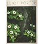 Eliot Porter