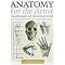 BOOKS FOR THE BUDDING ARTIST