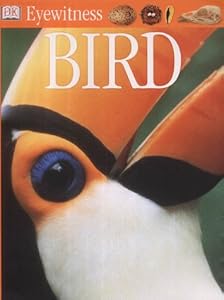 Cover of "Bird (Eyewitness)"