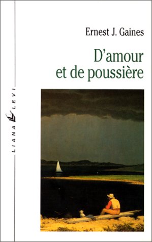 City Travel Guides Discounted  Used : D'amour et de poussière