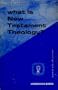 What is New Testament Theology?: The Rise of Criticism and the Problem of a Theology of the New Testament (Guides to Biblical Scholarship : New Testament Series)