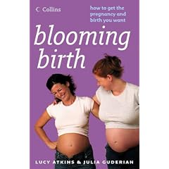 Blooming Birth: How to get the pregnancy and birth you want