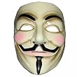V for Vendetta Maske