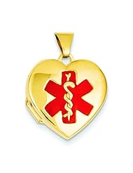 14K Gold Heart Emergency Medical ID Locket Jewelry