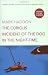 The Curious Incident of the Dog in the Night-Time