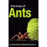 The Lives of Ants