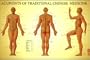 Acupoints Of Traditional Chinese Medicine Chart Male Laminated-RW2L