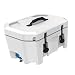 Can-am/ Ski-doo/ Sea-doo  LinQ 4.2 Gal (16 L) Cooler 295100698