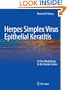 Herpes Simplex Virus Epithelial Keratitis: In Vivo Morphology in the Human Cornea
