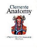 Anatomy: A Regional Atlas of the Human Body