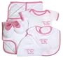 Welcome To the World Gift Basket in Pink