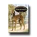 Saluki A House Is Not A Home Fridge Magnet