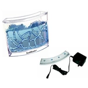 Fascinations AntWorks Illuminated Blue by Fascinations