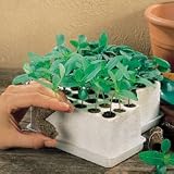 Seed Starting - Park-Starts Seed Starters with Watering Tray