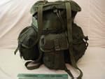 sale item: Usgi Military Surplus Army Alice Comb...