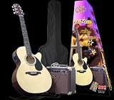 Full Size Acoustic / Electric Guitar Package with Guitar, Amplifier, Carry Band and Instructional DVD SX EAG 1K NA w/ AG1065