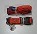 Denver Broncos Pet Accessories Set - Large (6' Leash, Collar, and ID Tag)