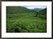 View from a fern-covered hillside of a valley north of Scafell Pike Framed Art Print by Joel Sartore, 29" x 22"
