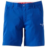 Puma Golf Boy's Tech Bermuda, Surf The Web Blue, Small