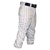 Pinstripe Adult Baseball Pants