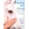 Animal Healing - Equine