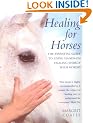 Healing For Horses