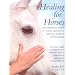 Healing for Horses