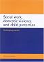 Social Work, Domestic Violence and Child Protection: Challenging Practice