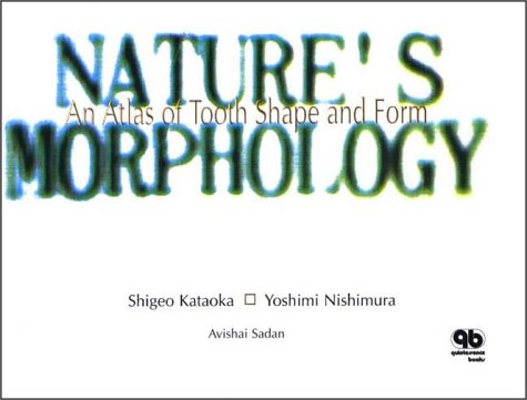 Nature's Morphology: Learn from the Natural Tooth Morphology