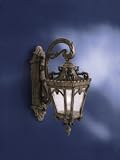 19th Century Belgian 29 High Outdoor Wall Light
