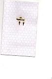 Jewish Pendant: World Jewish Congress, NY, #9178-2IN, Advertizing Ephemera in the Mail