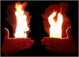 Fickle Fire Set