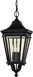 Murray Feiss Cotswold Lane OL5411BK 3 Light 180 watt (21H x 9W) Outdoor Pendant Lighting in Black