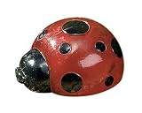 Outdoor Living : Solar Ladybird garden lights, pack of 4