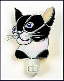 Black and White Cat
