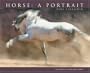 Horse: A Portrait 2008 Calendar