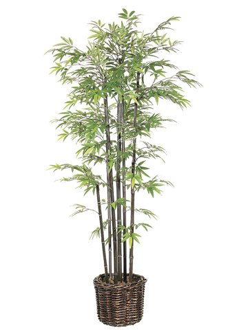 Pack of 2 Miniature Artificial Black Bamboo Trees in Rattan Pot 4'