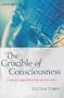 The Crucible of Consciousness: A Personal Exploration of the Conscious Mind