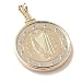 2 Euro Bi-Metal Irish Harp Coin Pendant
