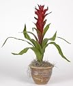 Single Star Bromeliad Silk Plant Color - American Beauty