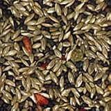 Sun Seed Vita Canary Formula (2.5-lb resealable bag)