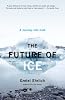 The Future of Ice