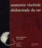 Anatomie visc�rale abdominale du rat